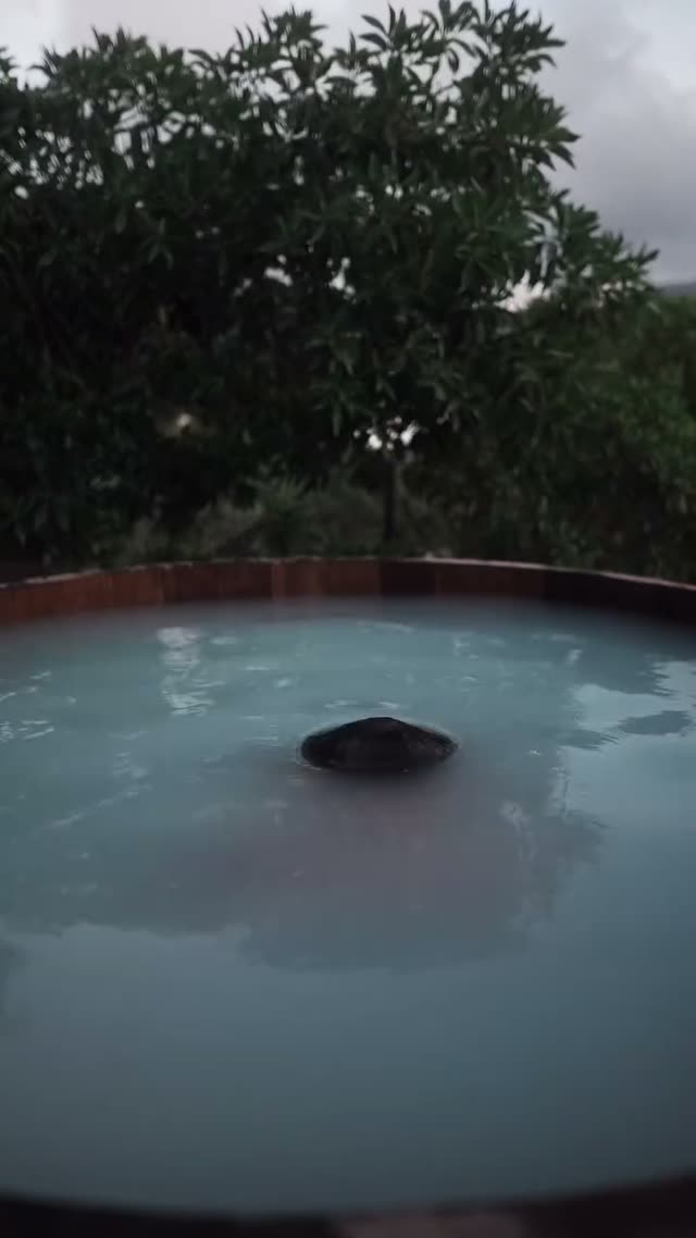 Motivacao 0082